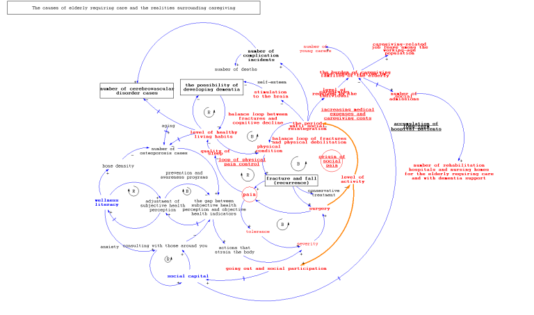 System Mapping: ORTHOREBIRTH